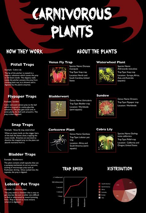 Carnivorous Plants by MissOwl on DeviantArt