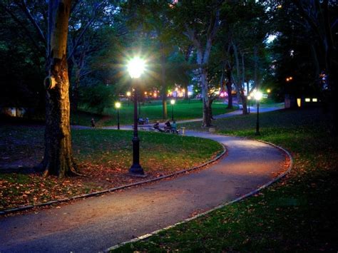 Is Central Park Safe at Night and During the Day? - Discover NYC