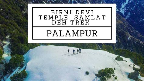 Palampur Camping and Trekking - Birni Mata Trek - Samlat Deh - Wildlife - Himachal Pradesh - YouTube