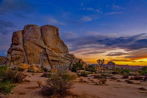 "Joshua Tree Sunset" Framed Prints by photosbyflood | Redbubble