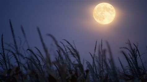 What To Know About September's Full Harvest Moon & How It'll Affect You