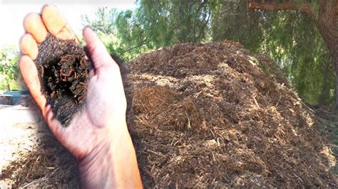 Building Soil Free Woodchips Creating Compost for the Garden - YouTube