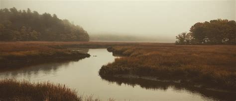 Preserving Mystery on a Complicated Coast – Maine Coast Heritage Trust