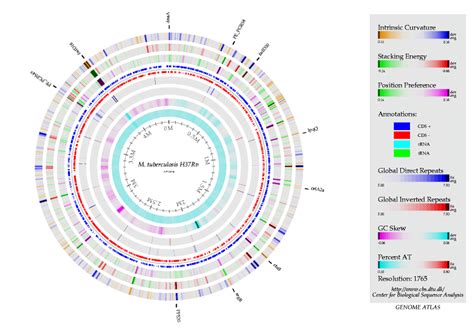 5) : Genome atlas of the chromosomes of M. tuberculosis H37Rv, Genome ...