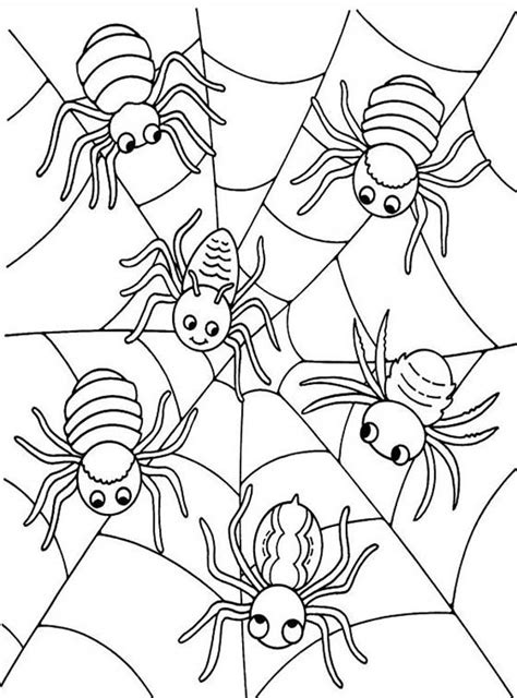 Six Cute Spider on Spider Web Coloring Page - NetArt