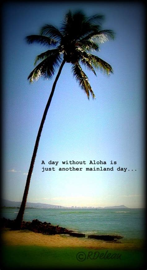 Hawaiian Tropical Quotes - ShortQuotes.cc