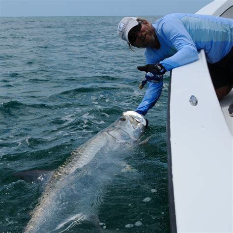 Florida Tarpon Fishing Charters2015 tarpon season Archives - Florida ...