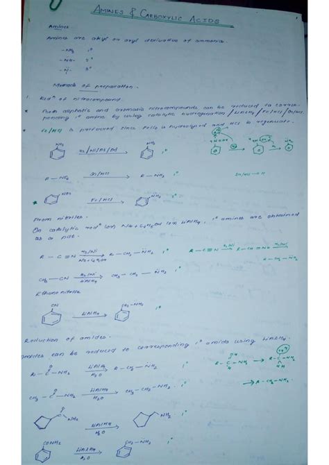 Amines and carboxylic acid - Inorganic Chemistry I - Studocu