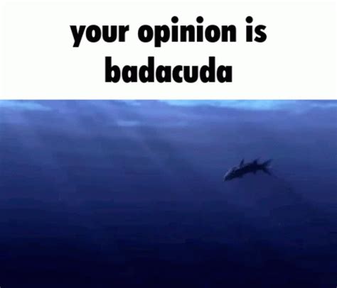 Barracuda Your Opinion GIF - Barracuda Your Opinion Bad Opinion - Discover & Share GIFs