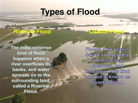 Flood presentation with more media