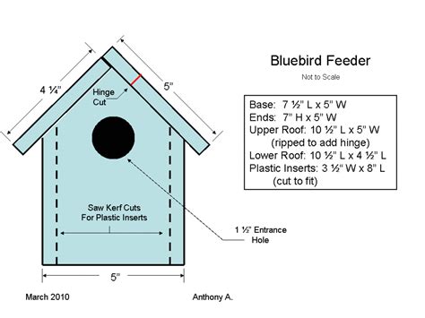 Bluebird Feeder Plans: How to Make a Bluebird Feeder | FeltMagnet