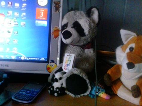 My Raccoon Plush 109 by PoKeMoNosterfanZG on DeviantArt