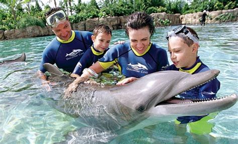 Swim with a dolphin at SeaWorld's Discovery Cove, plus enjoy 3 nights ...