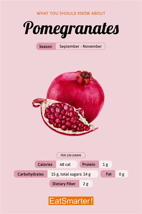 Pomegranate Calories, Nutrition Facts, And Health Benefits, 50% OFF