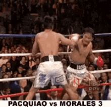 Manny Pacquiao Meme GIFs | Tenor