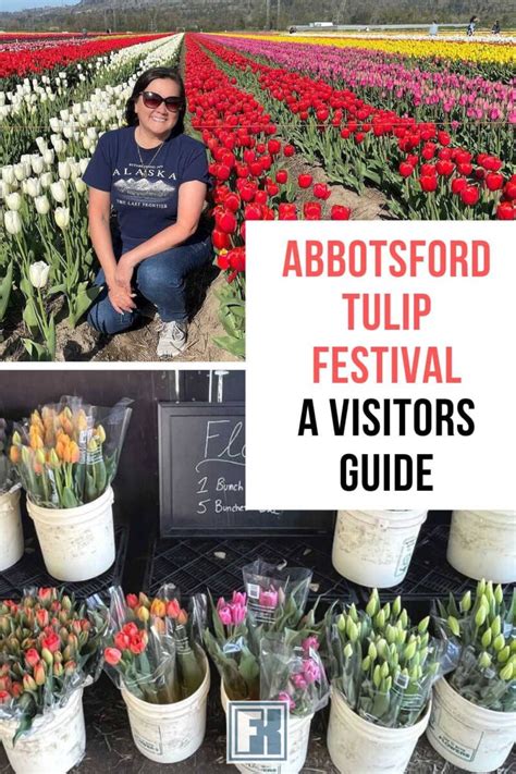 8 Great Reasons To Visit The Abbotsford Tulip Festival - Forever Karen