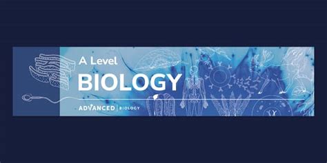 A Level Biology Banner (teacher made) - Twinkl