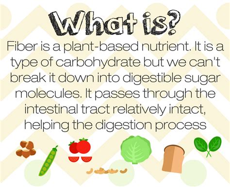 Pin by Lorena Casillas on Fiber | Digestion process, Intestinal tract ...