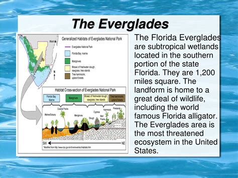 PPT - Florida's Landforms PowerPoint Presentation, free download - ID ...