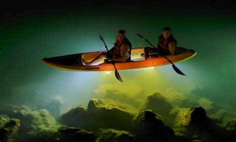 Illuminated Glass-Bottom Kayaks - Sharkey's Glass Bottom Tours | Groupon