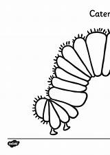 The Very Hungry Caterpillar Coloring Page sketch template