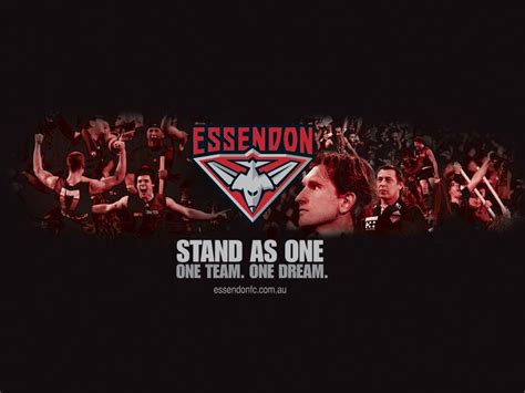 Essendon Football Club Wallpapers - Top Free Essendon Football Club Backgrounds - WallpaperAccess