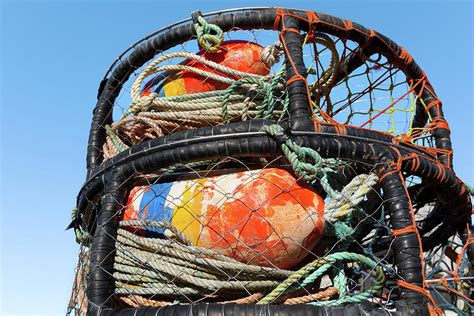 Crabbing Gear at Noyo Photograph by Kathleen Bishop - Pixels