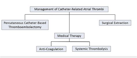 Overview of CRAT management options. | Download Scientific Diagram