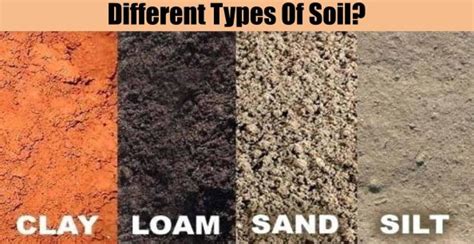 Soil: Meaning, Types, Composition and Properties of Soil | ClassNotes.ng