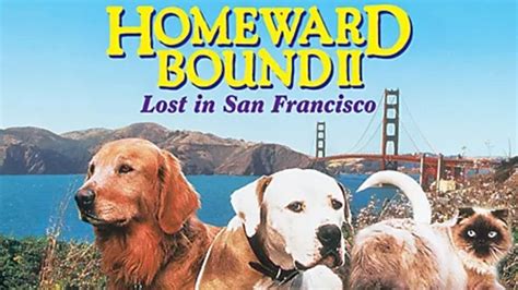 Cast Of Homeward Bound 2