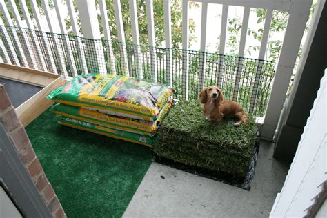 Dog Porch Potty with Real Grass and Drainage System | Porch potty, Dog potty, Dog potty area