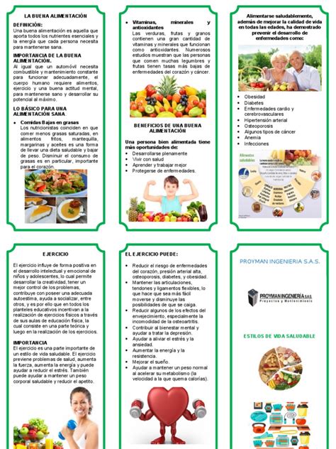 Folleto Estilo de Vida Saludable | PDF | Alimentos | Salud pública