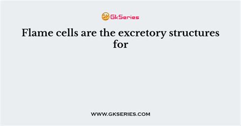 Flame cells are the excretory structures for