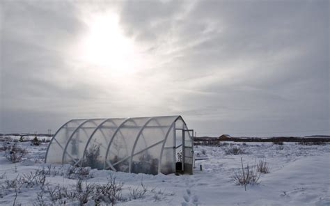 Greenhouse Preparation for Winter - Must Read Advice and Handy Tips for Enjoying a Year-round ...