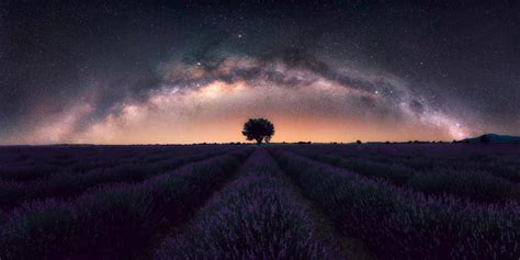 🥇 Provence Lavender Photo Tour 2023: Valensole & Villages