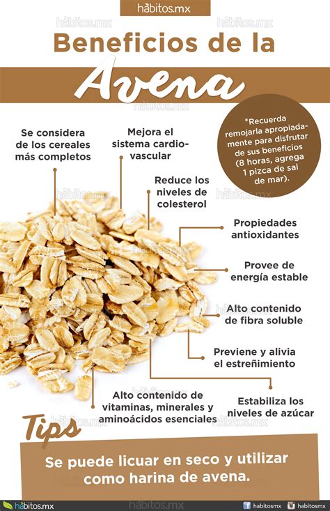 Beneficios de la Avena | Beneficios de la avena, Beneficios de alimentos, Frutas y verduras ...