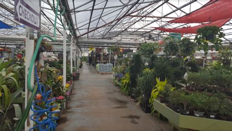 Tagawa Gardens - The ultimate gardening store near Parker! - Home In Parker Colorado