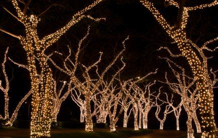 Holiday Outdoor Lighting Buffalo Grove - Naperville Holiday Light ...