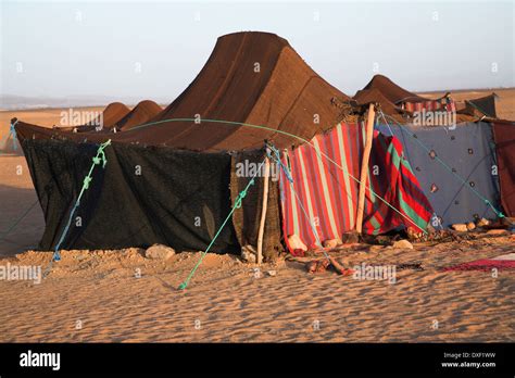 Nomadic Berber tents used as overnight camp by tourist groups camel Stock Photo: 67942949 - Alamy