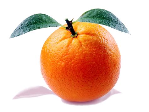 Orange Citrus Fruit · Free photo on Pixabay