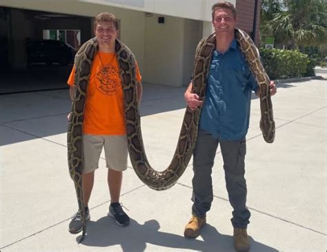 Naples man captures 19-foot Burmese python in Big Cypress; confirmed as ...