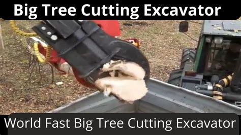 Big Tree harvesting cutting Machine | Amazing Giant Excavator Cutting tree. - YouTube