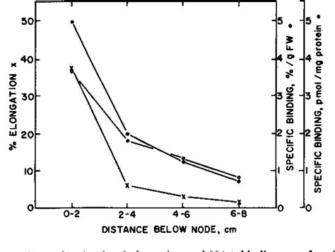 Figure 1 from Evidence for Receptor Function of Auxin Binding Sites in Maize : RED LIGHT ...