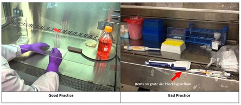 3 Biosafety Practices And Procedures Program