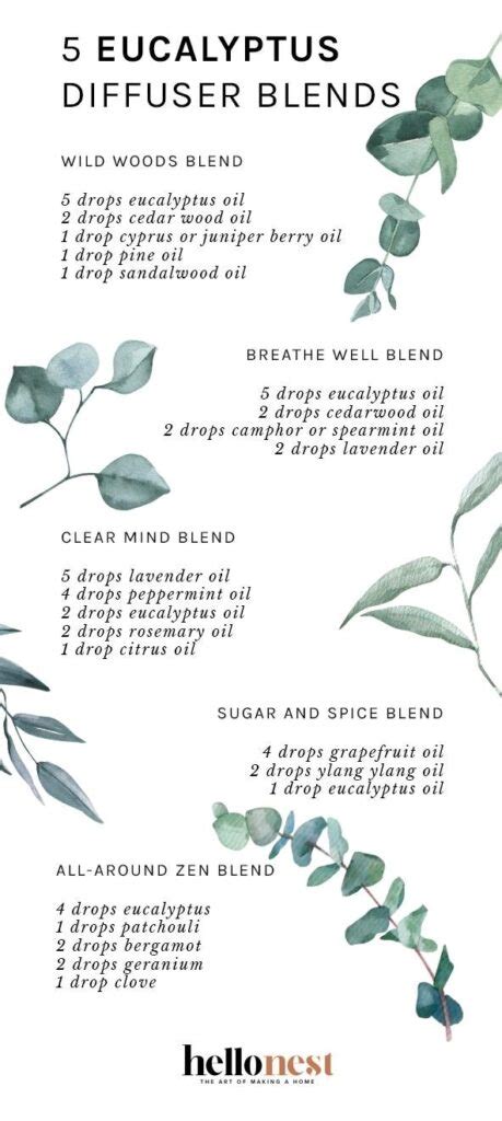 5 Eucalyptus Diffuser Blends To Enjoy All Season Long | Hello Nest