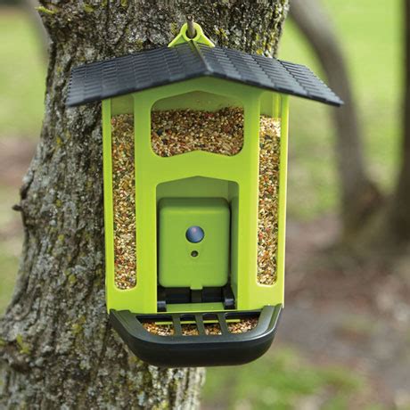 Bird Feeder with 1.5MP Motion Activated Camera | 5 Reviews | 4.8 Stars | Acorn | XB3012