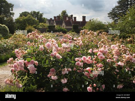 Borde Hill Garden Stock Photo - Alamy