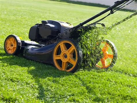 Lawn Maintenance | Grass Plus, Inc.