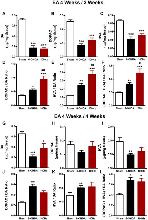 Dopamine and its metabolites in the striatum at the 2nd and 4th week... | Download Scientific ...