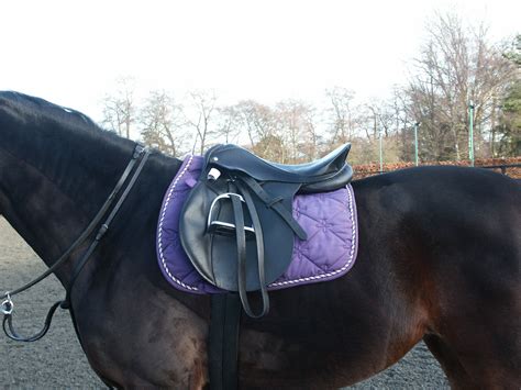 Ill-Fitting Saddles Are Culprits For Horse AND Rider Back Pain, New ...